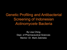 Genetic Profiling and Antibacterial Screening of Indonesian Actinomycete Bacteria By Lisa Ching Dept. of Pharmaceutical Sciences Mentor: Dr.