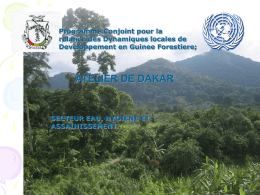 Programme Conjoint pour la relance des Dynamiques locales de Developpement en Guinee Forestiere;  ATELIER DE DAKAR  SECTEUR EAU, HYGIENE ET ASSAINISSEMENT.