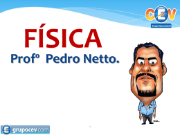 FÍSICA  Profº Pedro Netto. FÍSICA 1. (Enem 2012) Uma empresa de transportes precisa efetuar a entrega de uma encomenda o mais breve possível.