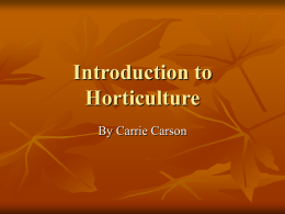 Introduction to Horticulture By Carrie Carson The Importance of Plants    Without plants, life on earth could not exist Plants are the primary source of.