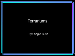 Terrariums By: Angie Bush Introduction A terrarium is a living plant growing inside a sealed glass container.