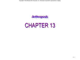 Copyright © The McGraw-Hill Companies, Inc. Permission required for reproduction or display.  Arthropods  CHAPTER 13  19-1