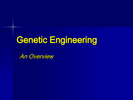 Genetic Engineering An Overview What is it???         Applied techniques of genetics and biotechnology (“Wet lab procedure”).