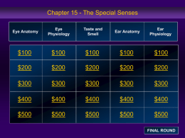 Chapter 15 - The Special Senses Eye Anatomy  Eye Physiology  Taste and Smell  Ear Anatomy  Ear Physiology  $100  $100  $100  $100  $100  $200  $200  $200  $200  $200  $300  $300  $300  $300  $300  $400  $400  $400  $400  $400  $500  $500  $500  $500  $500 FINAL ROUND.