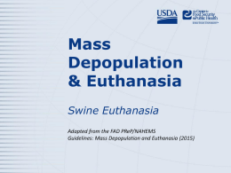 Mass Depopulation & Euthanasia Swine Euthanasia Adapted from the FAD PReP/NAHEMS Guidelines: Mass Depopulation and Euthanasia (2015)