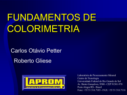 FUNDAMENTOS DE COLORIMETRIA Carlos Otávio Petter Roberto Gliese Laboratório de Processamento Mineral Centro de Tecnologia Universidade Federal do Rio Grande do Sul Av.