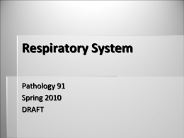 Respiratory System Pathology 91 Spring 2010 DRAFT Respiratory System Anatomy 1. Divided into: 1. 2.  _____________________________ _____________________________  2. Thoracic cavity 1. 2. 3.  RT & LT pleural cavities ___________________ Lined by parietal pleura  3.