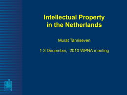Intellectual Property in the Netherlands Murat Tanriseven 1-3 December, 2010 WPNA meeting Capital in the standard National Accounts (SNA 2008) …is from a knowledge perspective.