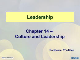 Leadership Chapter 14 – Culture and Leadership Northouse, 5th edition Overview  Culture and Leadership Description  Culture Defined  Related Concepts  Dimensions of Culture  Clusters.