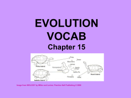 EVOLUTION VOCAB Chapter 15  Image from BIOLOGY by Miller and Levine; Prentice Hall Publishing © 2006