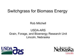 Switchgrass for Biomass Energy Rob Mitchell  USDA-ARS Grain, Forage, and Bioenergy Research Unit Lincoln, Nebraska.