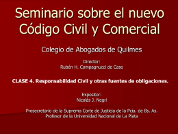 Seminario sobre el nuevo Código Civil y Comercial Colegio de Abogados de Quilmes Director: Rubén H.