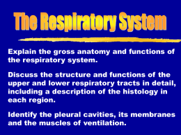 Explain the gross anatomy and functions of the respiratory system. Discuss the structure and functions of the upper and lower respiratory tracts in.