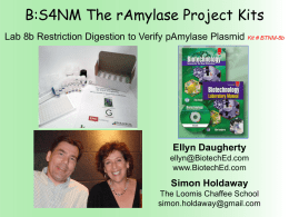 B:S4NM The rAmylase Project Kits Lab 8b Restriction Digestion to Verify pAmylase Plasmid Kit # BTNM-8b  Ellyn Daugherty ellyn@BiotechEd.com www.BiotechEd.com  Simon Holdaway The Loomis Chaffee School simon.holdaway@gmail.com.