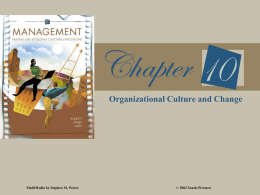 Organizational Culture and Change  MultiMedia by Stephen M. Peters  © 2002 South-Western.