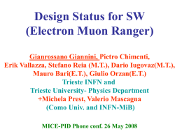 Design Status for SW (Electron Muon Ranger) Gianrossano Giannini, Pietro Chimenti, Erik Vallazza, Stefano Reia (M.T.), Dario Iugovaz(M.T.), Mauro Bari(E.T.), Giulio Orzan(E.T.) Trieste INFN and Trieste.
