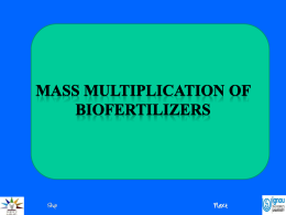 Mass Multiplication of Biofertilizers INTRODUCTION The procedure involves isolation, mass culture production and preparation of inoculants along with inoculant quality control. The individual organism.