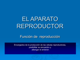 EL APARATO REPRODUCTOR Función de reproducción Encargados de la producción de las células reproductoras, posibilitar su encuentro y albergar el embrión.