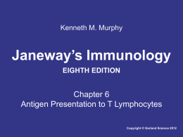 Kenneth M. Murphy  Janeway’s Immunology EIGHTH EDITION  Chapter 6 Antigen Presentation to T Lymphocytes Copyright © Garland Science 2012