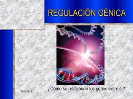 REGULACIÓN GÉNICA  07/11/2015  ¿Cómo se relacionan los genes entre sí? ESQUEMA          Principio general: ECONOMÍA Regulación en procariotas: – Modelo del operón. – Ejemplo de operón inducible:
