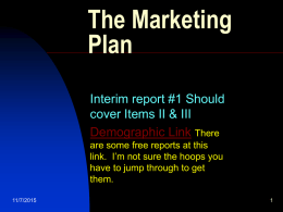 The Marketing Plan Interim report #1 Should cover Items II & III Demographic Link There are some free reports at this link.