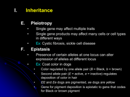 I.  Inheritance E.  Pleiotropy • •  Single gene may affect multiple traits Single gene products may affect many cells or cell types in different ways Ex: Cystic fibrosis, sickle.