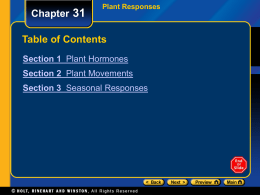 Chapter 31  Plant Responses  Table of Contents Section 1 Plant Hormones Section 2 Plant Movements Section 3 Seasonal Responses.