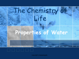 The Chemistry of Life Properties of Water  copyright cmassengale The Water Molecule • Neutral Charge – ZERO  • Have no charge • Have an Equal number.
