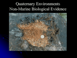 Quaternary Environments Non-Marine Biological Evidence Proxy Records   Macrofossil Evidence  Packrats  Tree-line    Microfossil Evidence  Pollen    fluctuation  Insects.