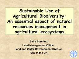 Sustainable Use of Agricultural Biodiversity: An essential aspect of natural resources management in agricultural ecosystems Sally Bunning Land Management Officer Land and Water Development Division FAO of the.