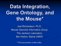 Data Integration, Gene Ontology, and the Mouse* Joel Richardson, Ph.D. Mouse Genome Informatics Group The Jackson Laboratory Bar Harbor, Maine 04609 * Not necessarily in that order.