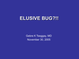 ELUSIVE BUG?!!  Gebre K Tseggay, MD November 30, 2005 The Patient • 73yo WF with h/o MV-repair, presented with a dry cough and worsening.
