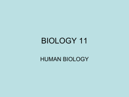 BIOLOGY 11 HUMAN BIOLOGY The Scientific Method 1. Observation 2. Hypothesis: a testable explanation 3.