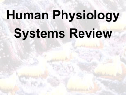 Human Physiology Systems Review I. Anatomy and Physiology A. Anatomy- study of the structure and shape of the body and body parts and.