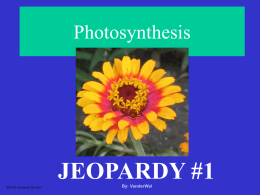 Photosynthesis  JEOPARDY #1 S2C06 Jeopardy Review  By: VanderWal Pigments  Vocabulary  Know Your Scientists  LightDependent Reactions  Calvin Cycle PigmentsThis is the process which plants use to convert the energy of.
