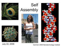 Self Assembly  July 22, 2009  Summer 2009 Nanotechnology Institute Making Nanostructures: Nanomanufacturing "Top down" versus "bottom up" methods •Lithography •Deposition •Etching •Machining  •Chemical •Self-Assembly.
