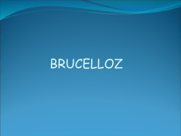 BRUCELLOZ AMAÇ  Katılımcıların bruselloz hakkında bilgi, beceri ve  tutumlarını artırmak ÖĞRENİM HEDEFLERİ Bilişsel Alan-1 1.