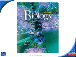 Biology  Slide 1 of 36 Copyright Pearson Prentice Hall  End Show 23–3 Stems  Slide 2 of 36 Copyright Pearson Prentice Hall  End Show.