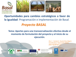 Oportunidades para cambios estratégicos a favor de la igualdad: Programación e implementación de Basal.  Proyecto BASAL Tema: Aportes para una transversalización efectiva desde.