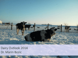 Dairy Outlook 2014 Dr. Marin Bozic Minnesota Dairy Statistics: 2013 vs.