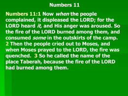 Numbers 11 Numbers 11:1 Now when the people complained, it displeased the LORD; for the LORD heard it, and His anger was aroused.
