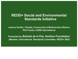 REDD+ Social and Environmental Standards Initiative Joanna Durbin, Climate, Community & Biodiversity Alliance Phil Franks, CARE International Presented by Belinda de la Paz, Haribon.