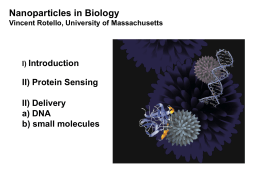 Nanoparticles in Biology Vincent Rotello, University of Massachusetts  I) Introduction  II) Protein Sensing  II) Delivery a) DNA b) small molecules.