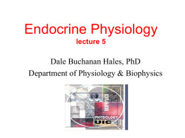 Endocrine Physiology lecture 5  Dale Buchanan Hales, PhD Department of Physiology & Biophysics.