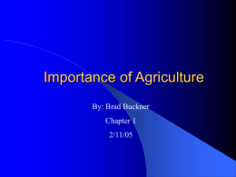 Importance of Agriculture By: Brad Buckner Chapter 1  2/11/05 Objectives   Explain the meaning of agriculture  Describe why agriculture is important.  Discuss how agriculture has.