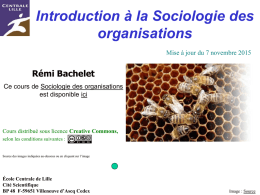 Introduction à la Sociologie des organisations Mise à jour du 7 novembre 2015  Rémi Bachelet Ce cours de Sociologie des organisations est disponible ici  Cours distribué.