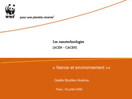 Les nanotechnologies [ACEN - CACEN]  « Nanos et environnement »» Gaëlle Bouttier-Guérive Paris, 16 juillet 2009