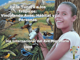 De la Tundra a los Trópicos: Vinculando Aves, Hábitat y Personas  Día Internacional del Ave Migratoria.