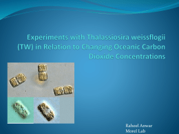 Raheel Anwar Morel Lab CO2 Concentrations and Why They’re Important  The changing environment has led to higher dissolved  cabron dioxide concentrations in the.