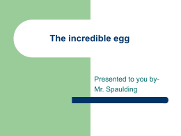 The incredible egg  Presented to you byMr. Spaulding What is an egg?    Egg- the female germ cell. The egg becomes the embryo.